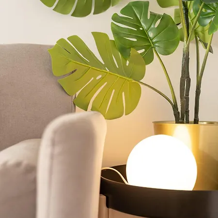 Lapa Stylish Apartament *